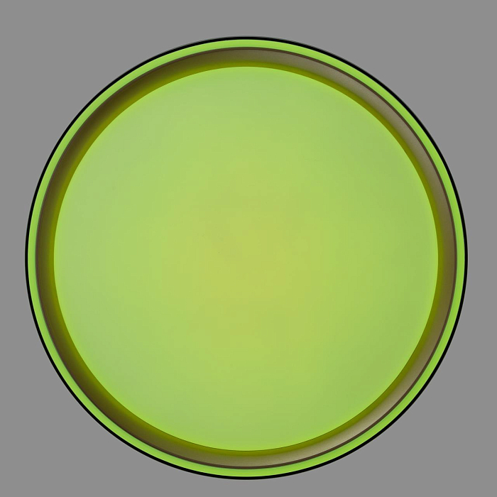 Светильник Citilux CL751251G