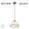 Светильник Citilux CL405113