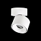 Светильник Citilux CL558010N