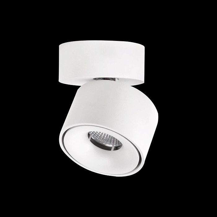 Светильник Citilux CL558010N