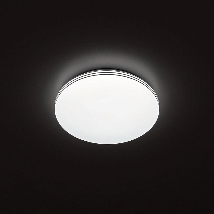 Светильник Citilux CL71424SV